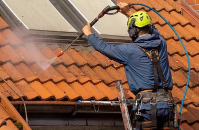 Démoussage et hydrofuge de toiture à Randan